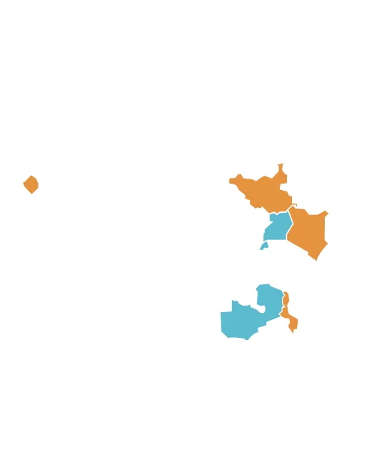 African map